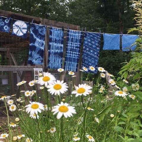 Shibori & Indigo Dyeing Workshop