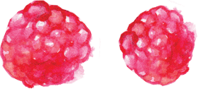 raspberry-1