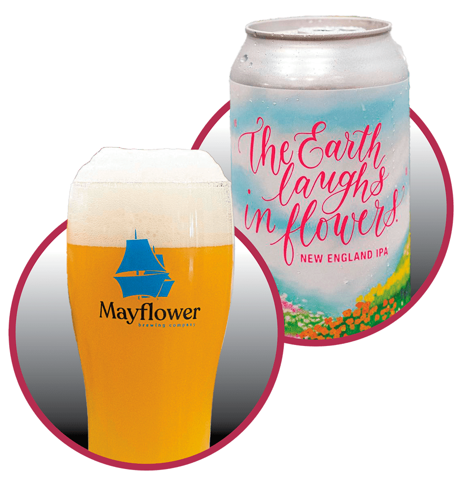 Mayflower-Brewing-Company
