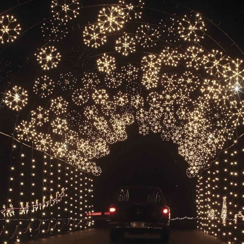 holiday-light-show-snowflake-tunnel